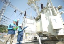Hewan Liar Ganggu Gardu Listrik Sei Harapan, Hasil Investigasi PLN Batam Paska Batam Blackout