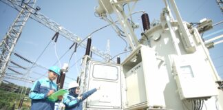 Hewan Liar Ganggu Gardu Listrik Sei Harapan, Hasil Investigasi PLN Batam Paska Batam Blackout