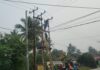 Tingkatkan Kehandalan Pasokan Listrik, PLN ULP Karimun Lakukan Pemeliharaan Jaringan
