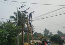 Tingkatkan Kehandalan Pasokan Listrik, PLN ULP Karimun Lakukan Pemeliharaan Jaringan