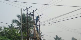 Tingkatkan Kehandalan Pasokan Listrik, PLN ULP Karimun Lakukan Pemeliharaan Jaringan
