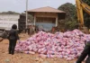 29 Ton Bawang Putih Asal China Dimusnahkan di Batam, Seluruh Muatan Rusak