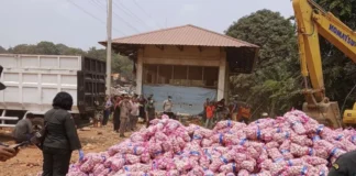 29 Ton Bawang Putih Asal China Dimusnahkan di Batam, Seluruh Muatan Rusak