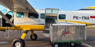 BP Batam Gelar Operasi Modifikasi Cuaca, Jaga Pasokan Air Baku Operasi Modifikasi Cuaca