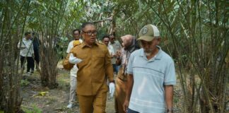 Salak Sari Intan Bintan Berpeluang Jadi Komoditas Unggulan Kepri